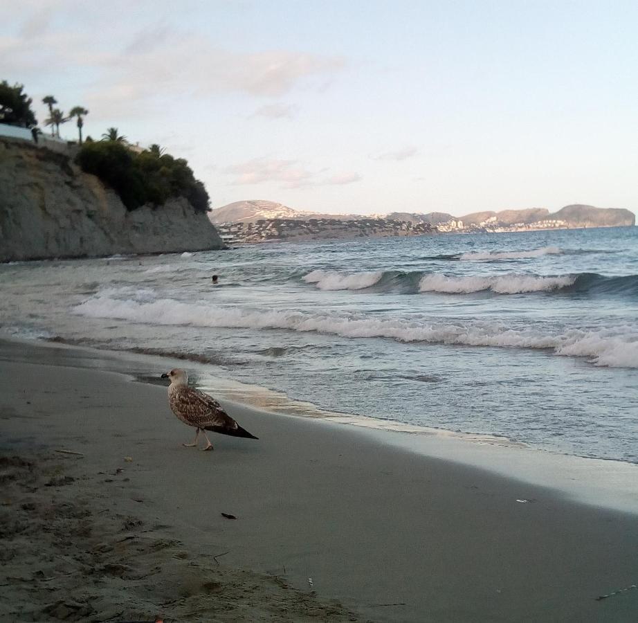 Santa Marta Atico * Calp